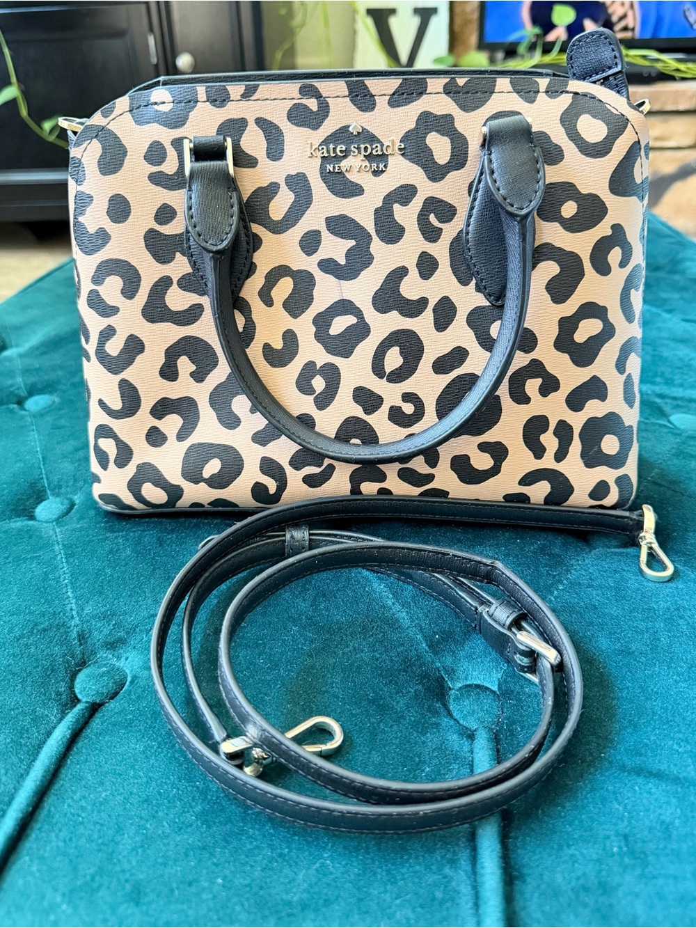 Kate Spade Darcy Graphic Leopard Print Satchel
